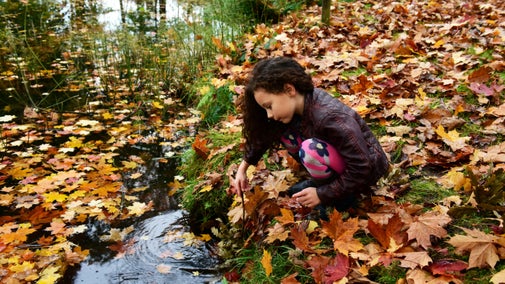 Inspecting the pond at Rowallane Garden, County Down